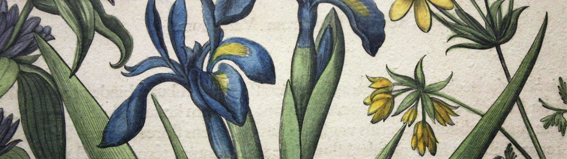 Libreria antiquaria Bourlot dal 1848 libri e stampe antiche