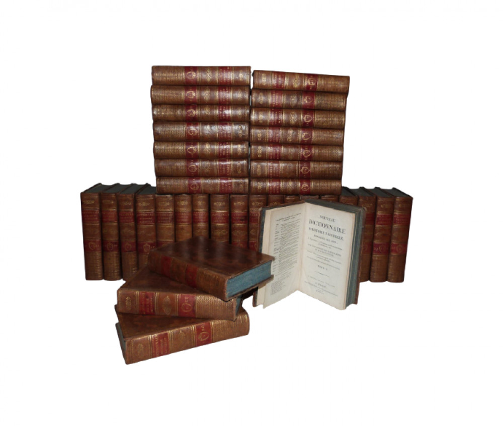 Nouveau dictionnaire d’histoire naturelle, appliquée aux arts, à l’agricolture, à l’économie rurale et domestique, à la medicine, etc. Parigi, Deterville, 1816-1819.