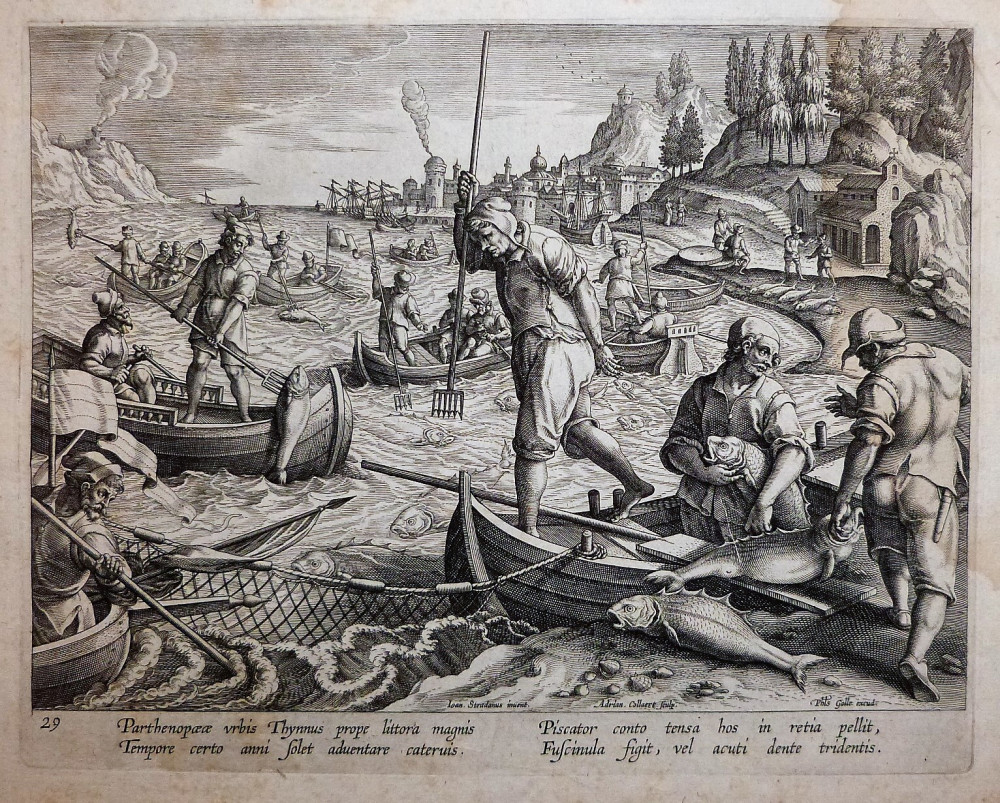 Caccia-Parthenopaeus urbis Thhynnus prope littora magnis. Anversa, Giovanni Stradano - Philip Galle, 1578-1596.