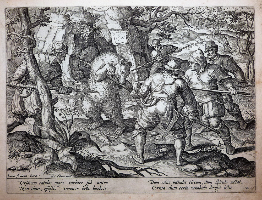 Caccia-Ursorum catulos nigro turbare sub antro. Anversa, Giovanni Stradano - Philip Galle, 1578-1596.