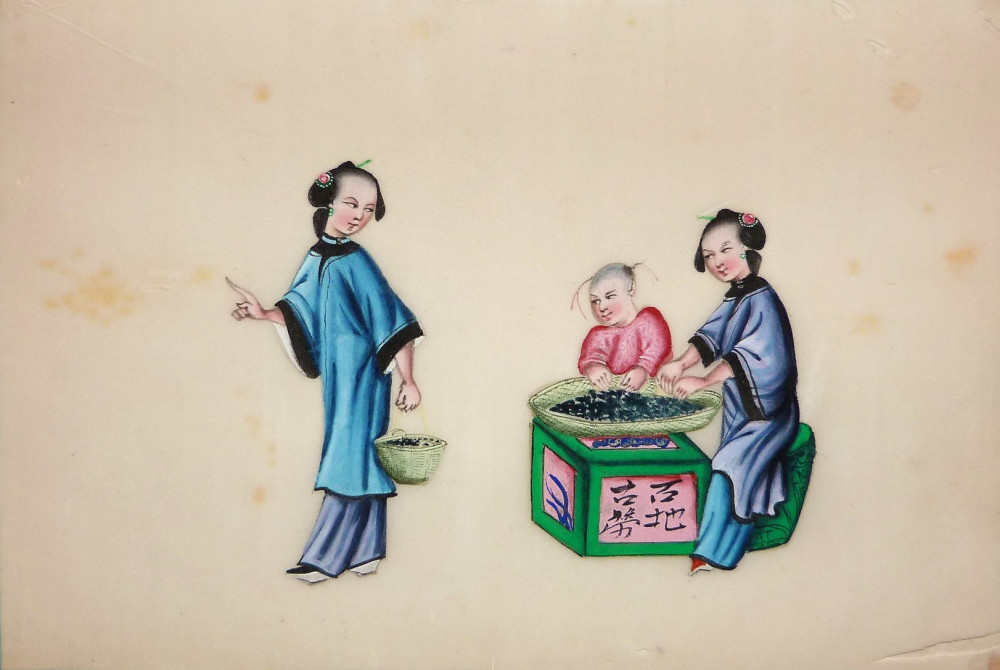 La coltivazione del tè. Cina, 1830-1840 circa.
