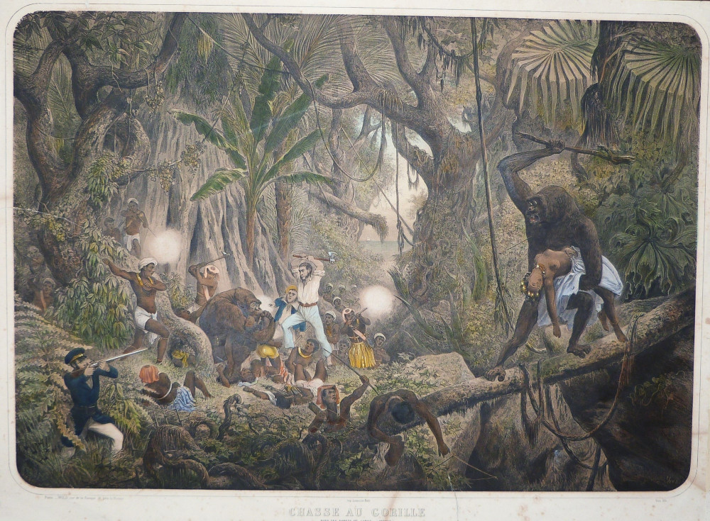 Chasse au gorille. Parigi, Lemercier, 1840-1850 circa.