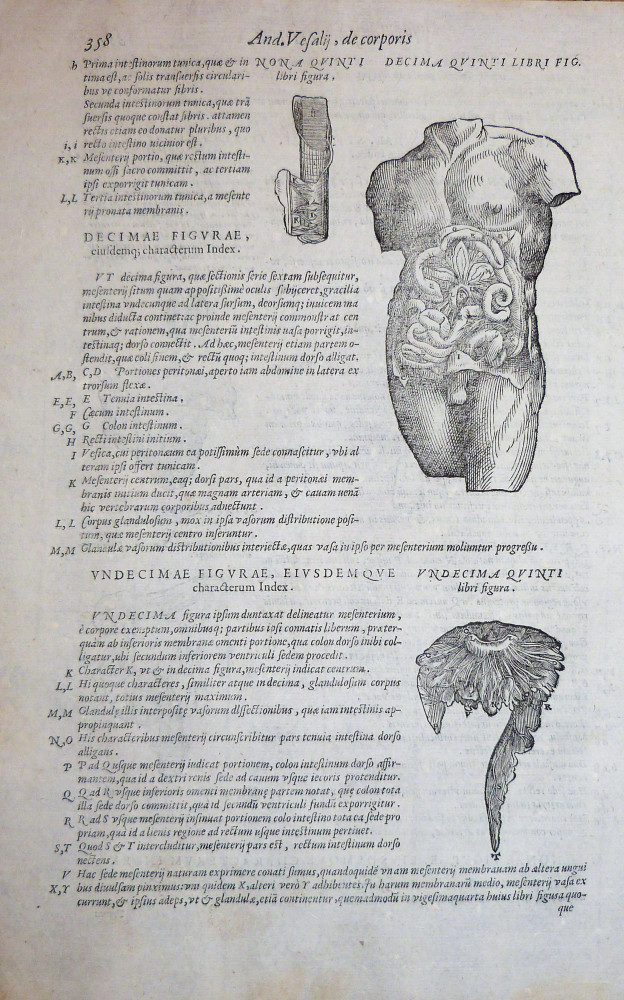 Decima quinti libri fig. Venezia, Francesco Sanese, 1588. 