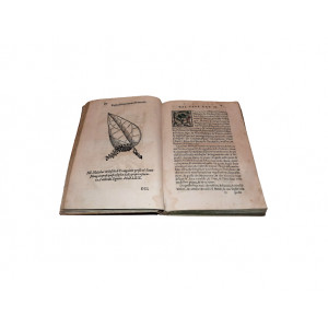 Acosta, Cristoforo. Trattato di Christoforo Acosta Africano Medico, & Chirurgo della istoria, natura, et virtu delle Droghe Medicinali, & altri… Venezia, Francesco Ziletti, 1585.