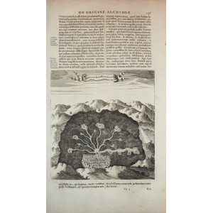 Alchimia - Matrices Metallicae Geocosmi. Amsterdam, Athanasius Kircher, 1665.