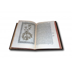 Colonna, Fabio. Phytobasanos sive Plantarum aliquot historia... Napoli, Orazio Salviani per Giovanni Giacomo Carlino e Antonio  Pace, 1592.