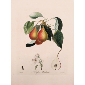 Cuisse-Madame. Parigi, Langlois, 1807.