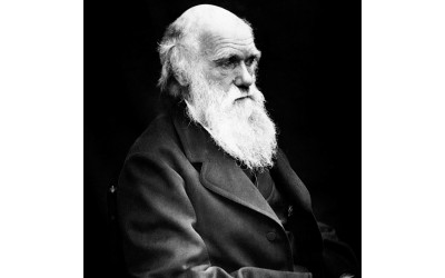 Darwin, Carlo
