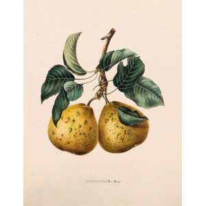 Dingler. Bruxelles, F. Parent, 1853-1860.