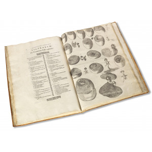 Fabrici d’Acquapendente, Girolamo. Hieronymi Fabricii ab Aquapendente De visione, voce, auditu. Venezia, Francesco Bolzetta, 1600.