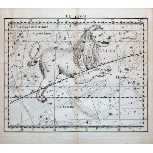 Le Lion. Parigi, Jean Nicolas Fortin, 1776. 