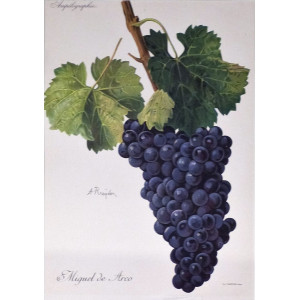 Miguel de Arco. Parigi, Alexis Kreyder, 1901-1910.