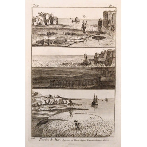 Pesca - Pesches de mer - Planche V. Parigi, 1751.