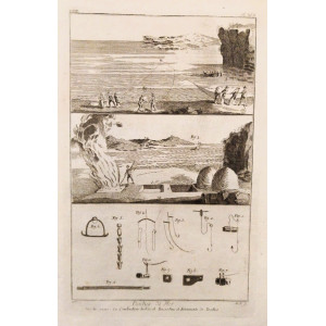 Pesca - Pesches de mer - Planche XVII. Parigi, 1751.