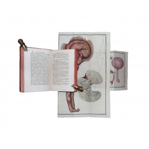 Pico, Vittorio. Victorii Pici phil. et medic. doctoris taurinensis ampliss. medicorum... Torino, Exudebat Ioan. Mich. Briolus, 1788, unito a Iosephi Antonimi Dardana phil. et med. doct... Torino, exudebat Ioan. Mich. Briolus, 1788.