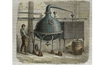 Pin, Giovanni Stefano