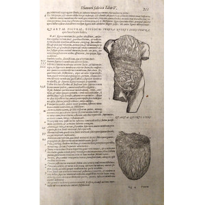 Quarta figurae, eiusdem-tertia quinti libri figura. Venezia, Francesco Sanese, 1588. 
