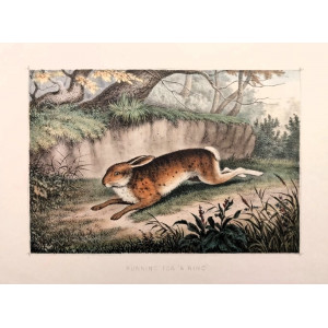 Caccia - Running for a ring. Londra s.n.t. (ma 1890 ca.)