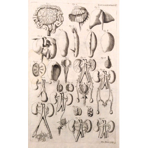 Tabulae anatomicae -  Apparato digerente e urinario. Venezia, Bartolomeo Locatelli, 1769.