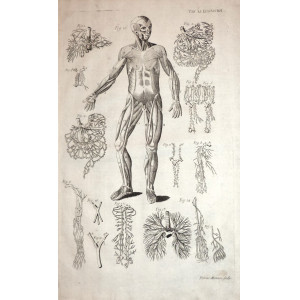 Tabulae anatomicae -  Apparato circolatorio. Venezia, Bartolomeo Locatelli, 1769.