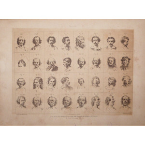 Tav. XIV - anatomia umana. Torino, Salussolia, 1852 - 1854.