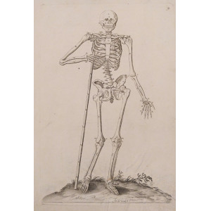 Tavola anatomica - Table des os. Parigi, Michel Aubert, 1730-1740 circa.