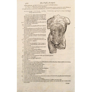 Vigesimae figurae, eiusdemque vigesima quinti libri figura. Venezia, Francesco Sanese, 1588. 