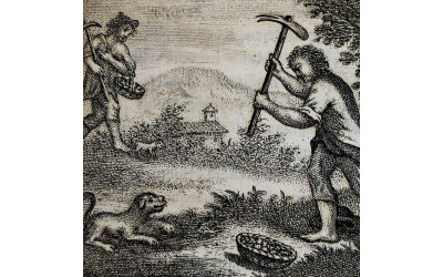 Vigo, Giovanni Bernardo 